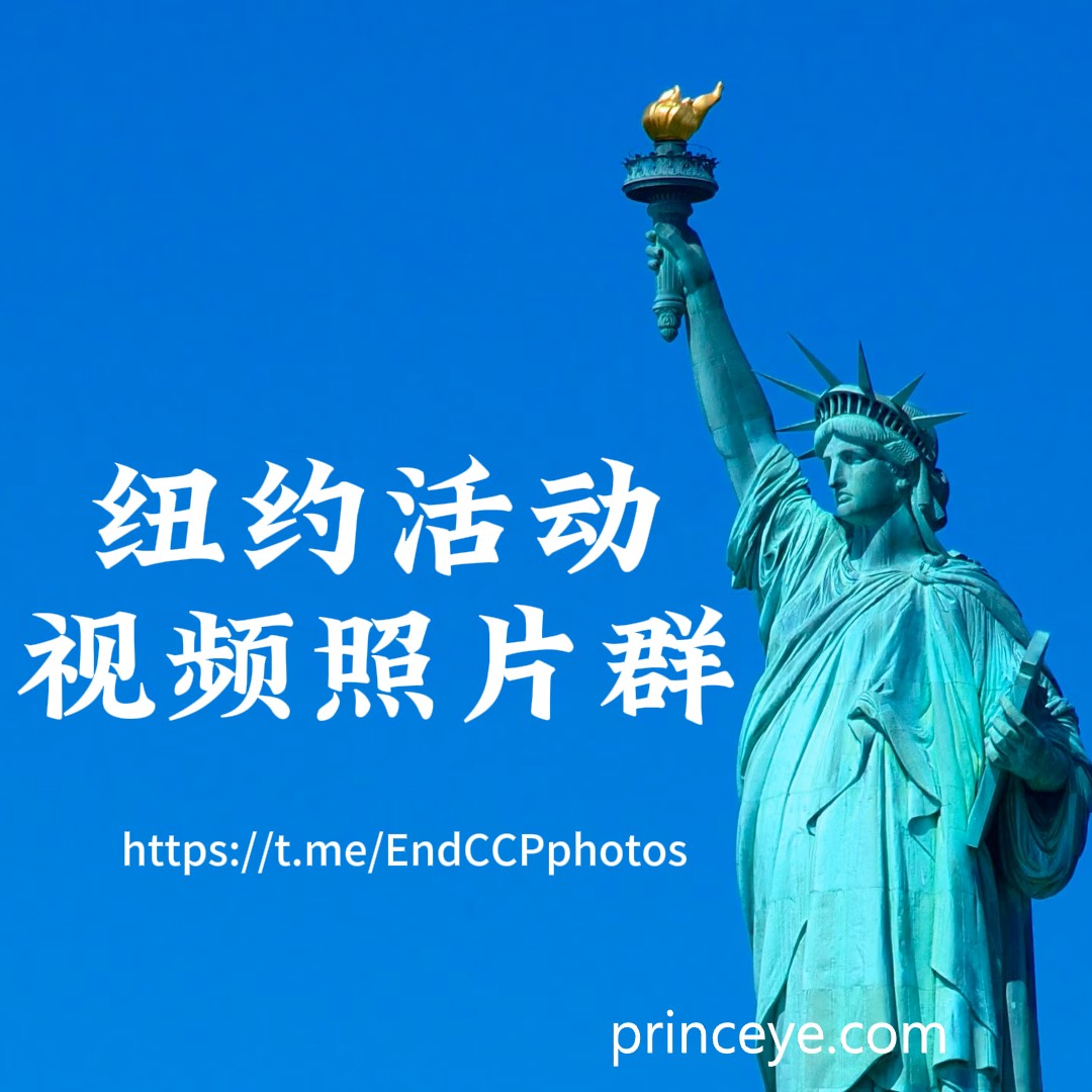 纽约活动视频照片群 规则